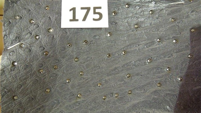 collection 2 rettili 175